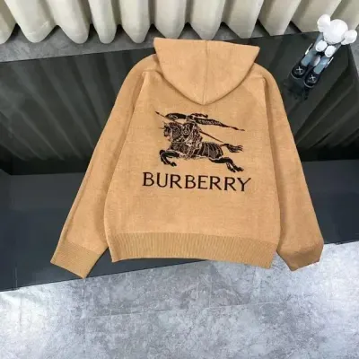 Weidian Burberry Hoodie