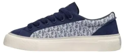 Weidian Dior B33 Shoes