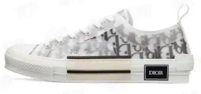 Weidian Dior Low B23