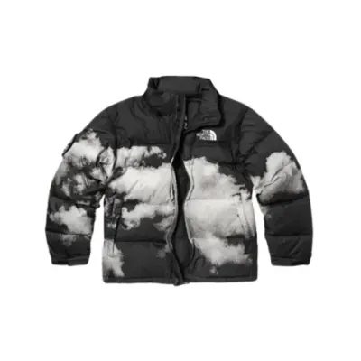 Weidian TNF Jacket 30Th Anniversary Jacket