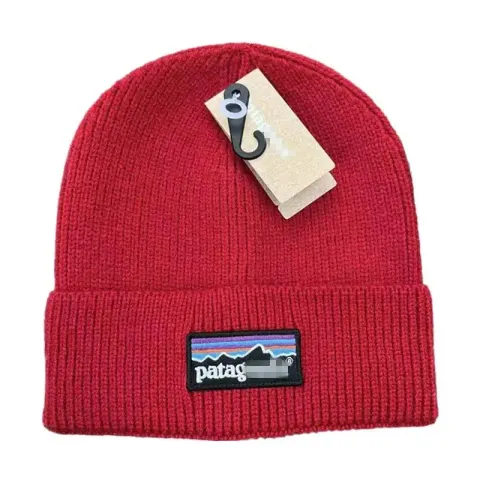 Patagonia Beanie option red