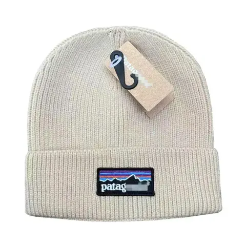 Patagonia Beanie option Beige