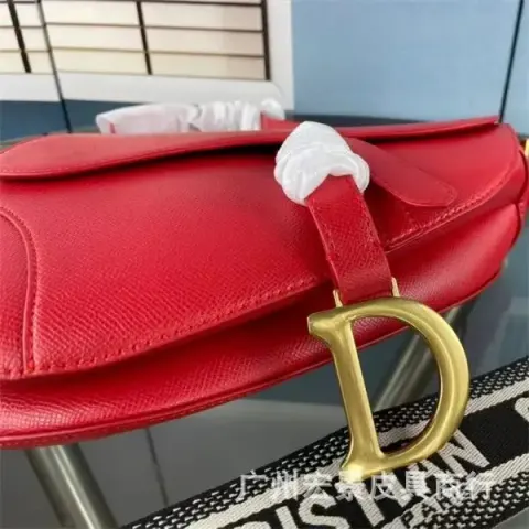 DIOR Saddle option red palm print