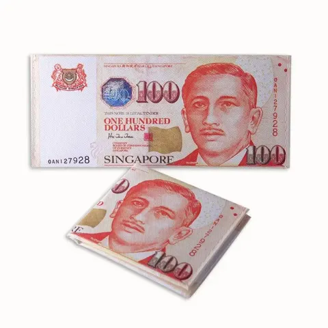 Money Wallet option FB01 Singapore 100