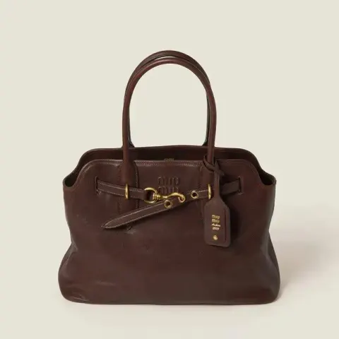 Miu Miu Bag option Coffee