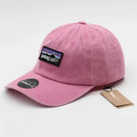 Patagonia Cap option Pink