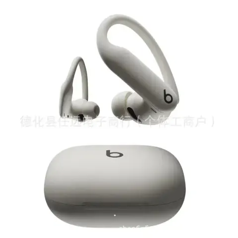 Beats Powerbeats Pro 2 option Elegant gray
