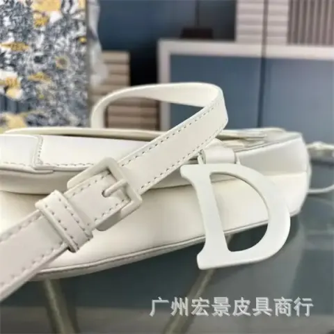 DIOR Saddle option matte white