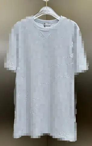Dior Towel T-Shirt option light gray