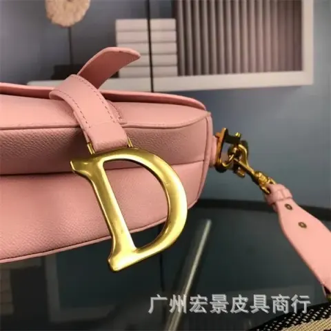 DIOR Saddle option Palm print powder