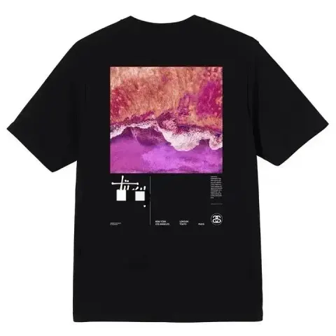Stussy T-shirt option S15