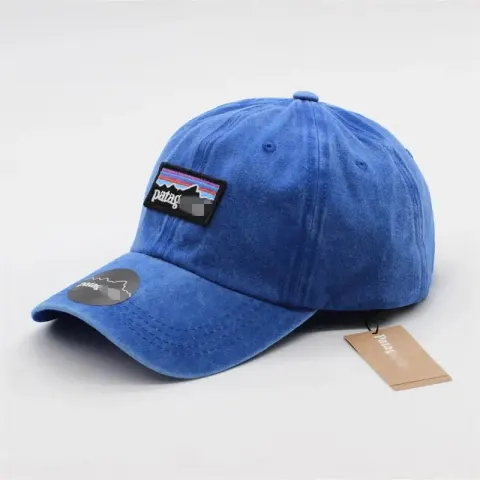 Patagonia Cap option Blue