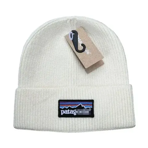 Patagonia Beanie option white