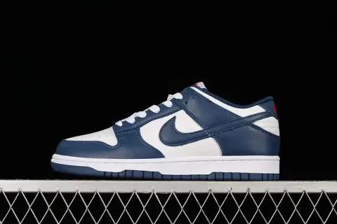 Dunk Syracuse Shoes option 24
