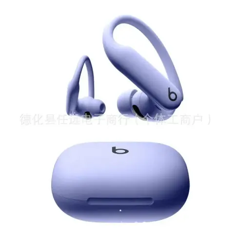 Beats Powerbeats Pro 2 option Mysterious Purple
