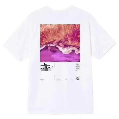 Stussy T-shirt option S16