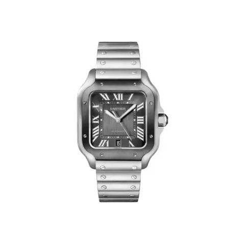 Cartier Santos Watch option Man