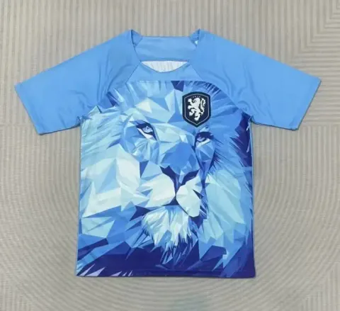 Brazil Special Jersey option Dutch pre-match training suit