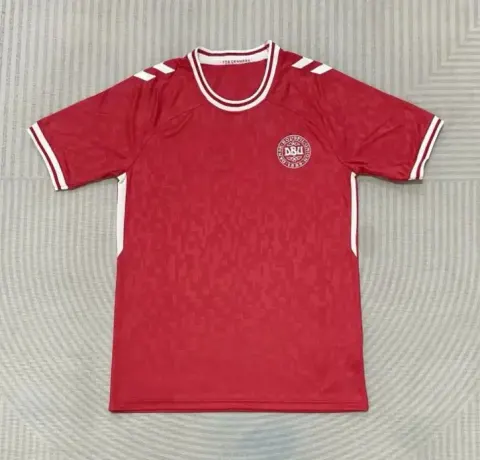 Brazil Special Jersey option 24/25 Denmark