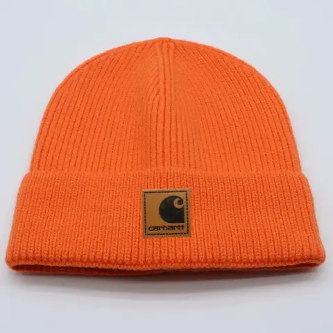 Carhartt Beanie option S22