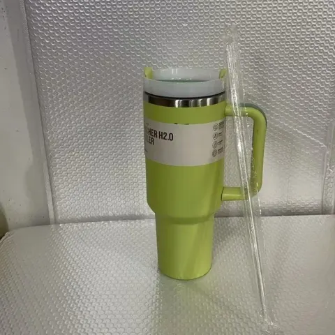 Stanley Thermos Cup option Light Green