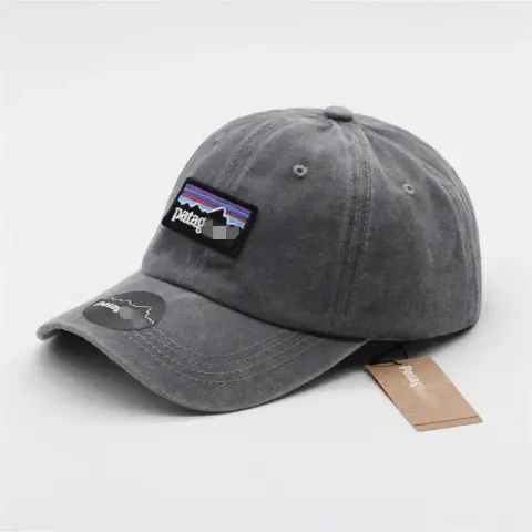 Patagonia Cap option Grey