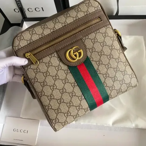Gucci Bag option 1