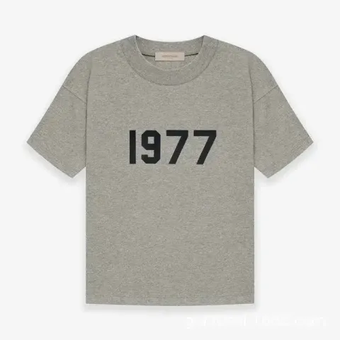 Essentials 1977 T-Shirt option dark grey