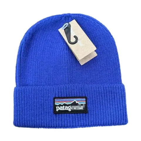 Patagonia Beanie option blue
