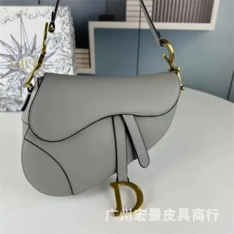 DIOR Saddle option plain gray