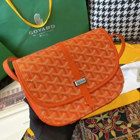 Goyard Bag option 12