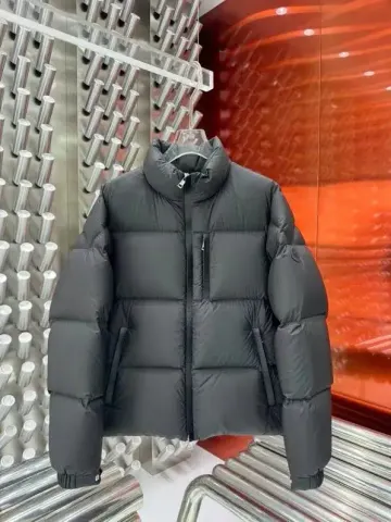 Moncler Besbre Down Jacket option Black