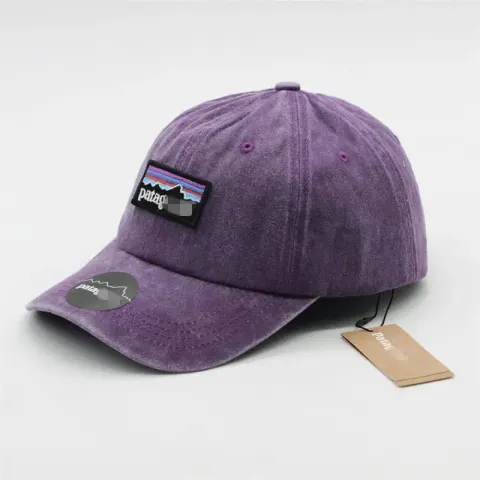 Patagonia Cap option Purple