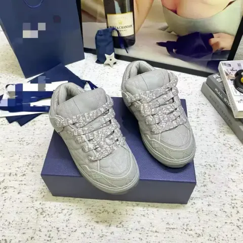 Dior B9 Shoes option gray purchasing quality