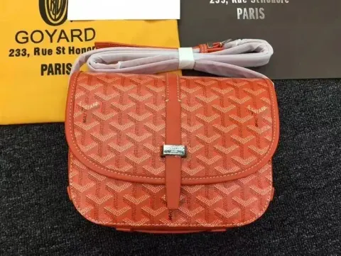 Goyard Bag option orange