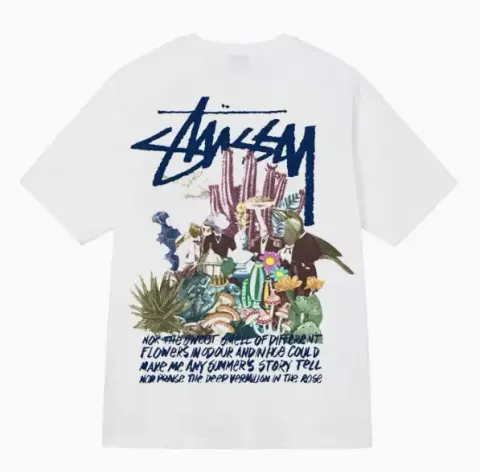 Stussy Tees option 24