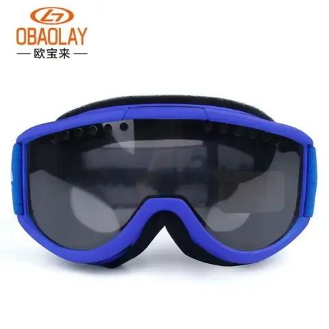 Supreme Ski Glasses option Blue Frame-Grey