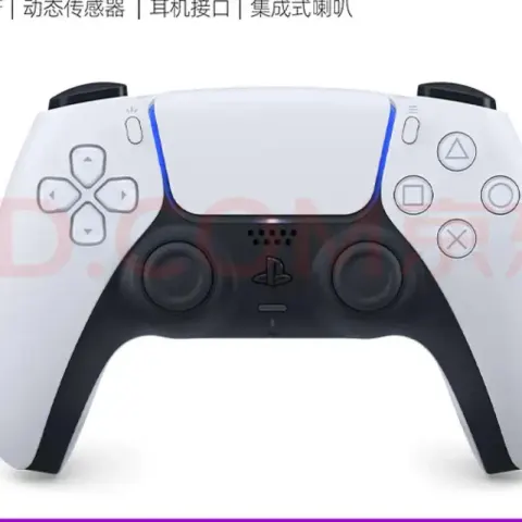 PS5 Controller option white