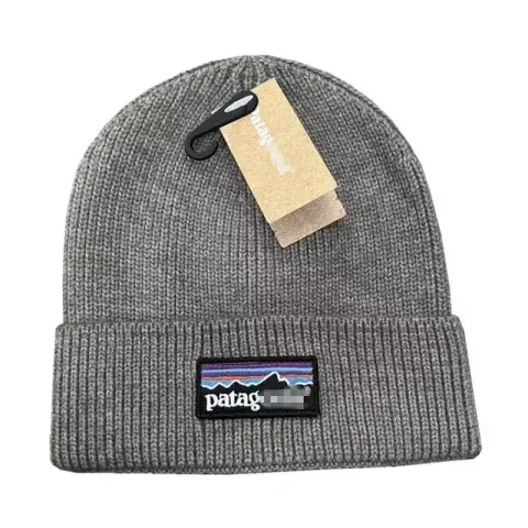 Patagonia Beanie option grey