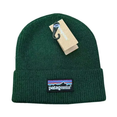 Patagonia Beanie option green