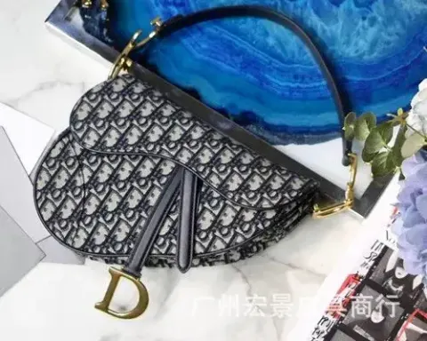 DIOR Saddle option presbydered embroidered canvas