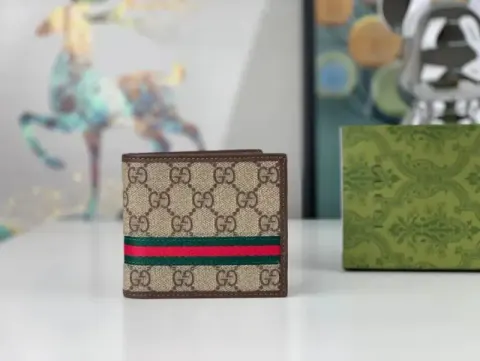 Gucci Wallet option 1