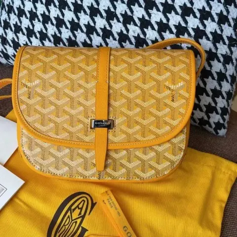 Goyard Bag option 9