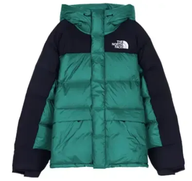 Budget/Best TNF Nuptse Jacket option Himalayan Green