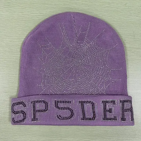 Sp5der Blue Beanie option purple