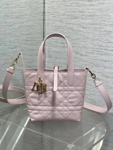 Dior Toujours Bag option Pink