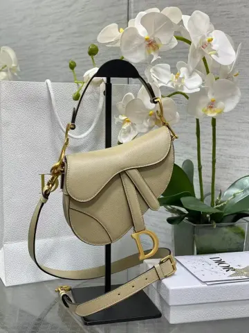 Dior Saddle Bag option apricot 17 × 5 × 15cm