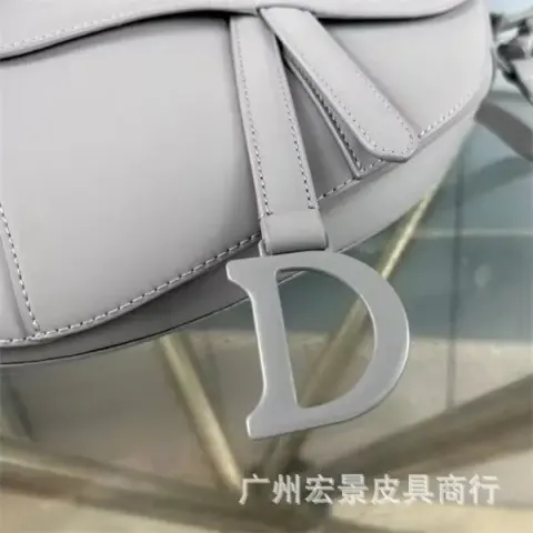 DIOR Saddle option Frosted ash