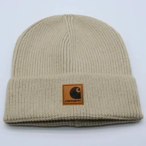 Carhartt Beanie option S20