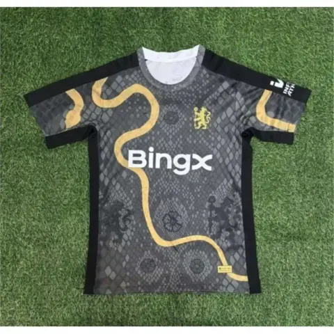 Manchester City 24/25 T-Shirt option 2526 Chelsea Grey Snake Special Edition